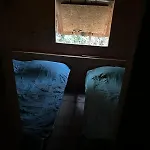 Back To Basic Kamp alanı *