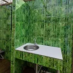 Back To Basic * Zwaanshoek