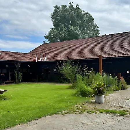 Back To Basic Kemping