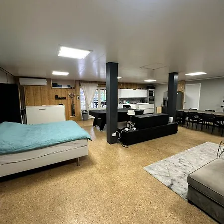 Back To Basic * Zwaanshoek