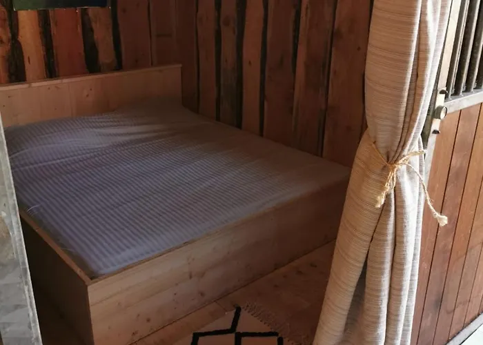 Back To Basic Zwaanshoek