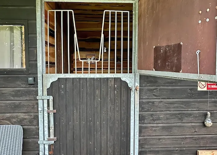 Back To Basic Zwaanshoek