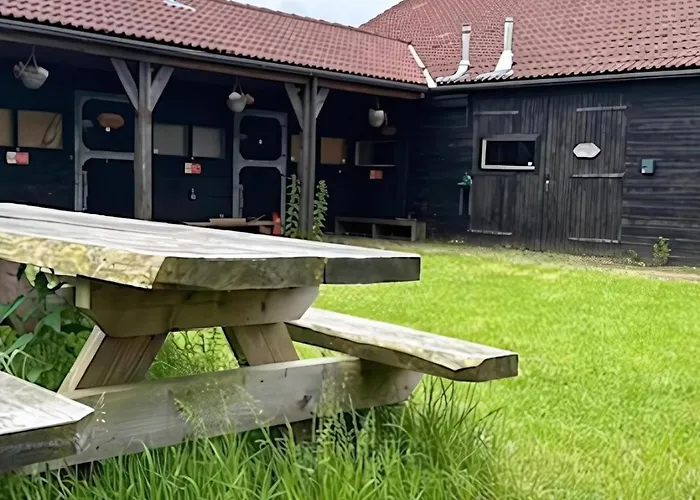 אתר קמפינג Back To Basic *