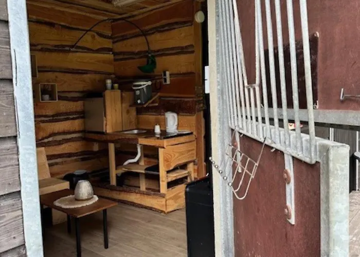 אתר קמפינג Back To Basic