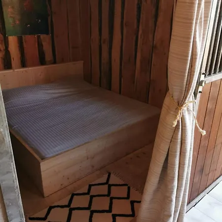 Back To Basic Zwaanshoek