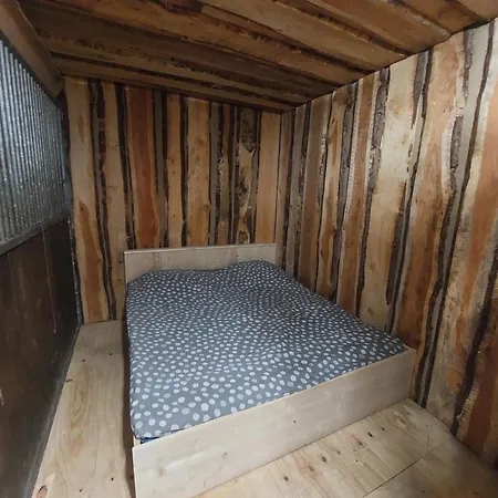 Camping Back To Basic *