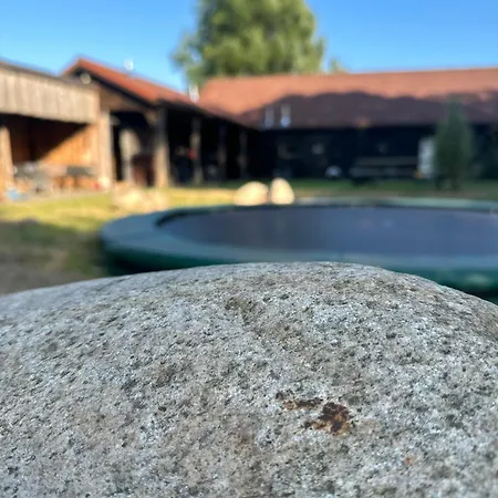 Back To Basic * Zwaanshoek