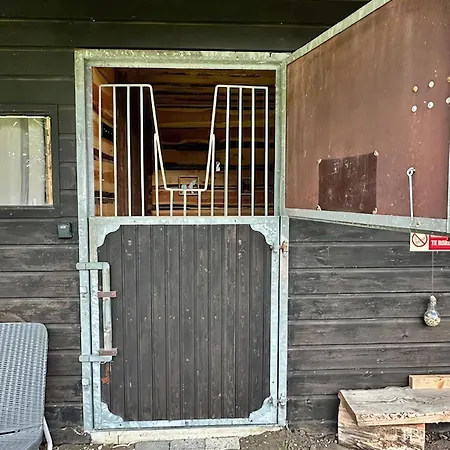 Back To Basic Zwaanshoek