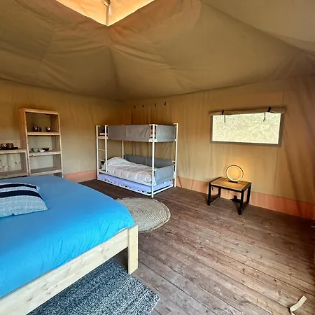 Back To Basic Zwaanshoek