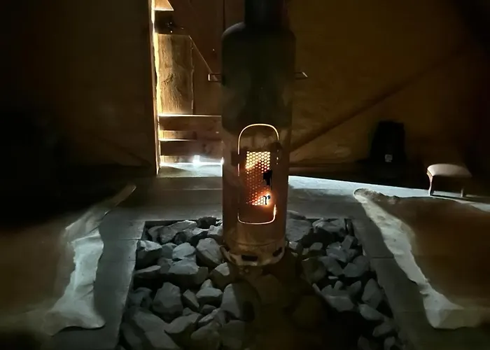 Back To Basic * Zwaanshoek