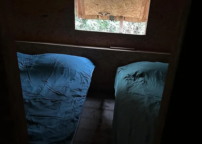 Back To Basic Camping *