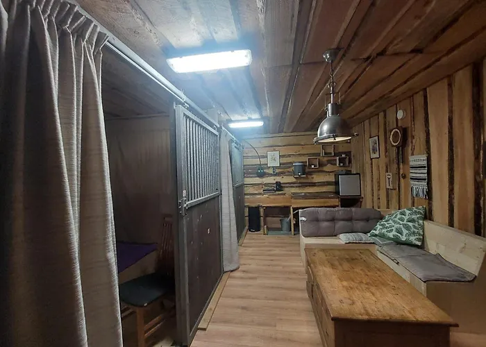 Back To Basic Zwaanshoek