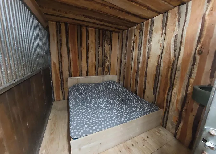 Camping Back To Basic *