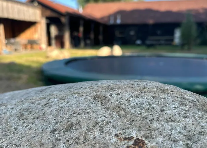 Back To Basic * Zwaanshoek