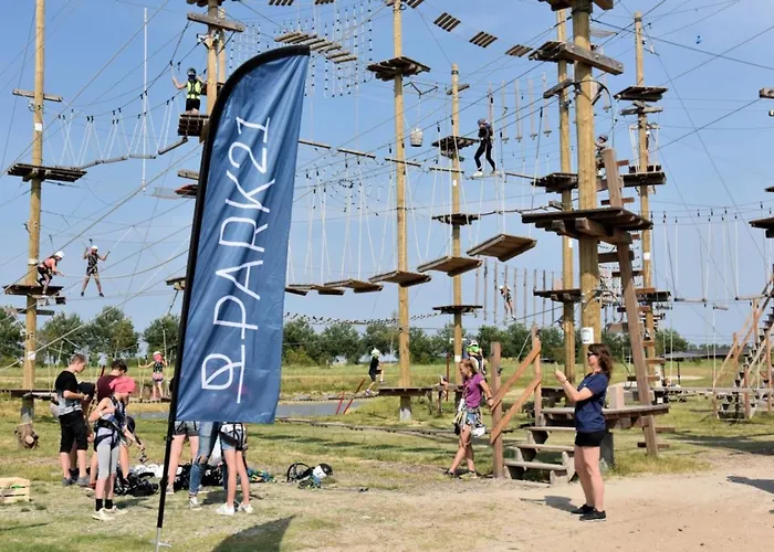 Back To Basic Camping