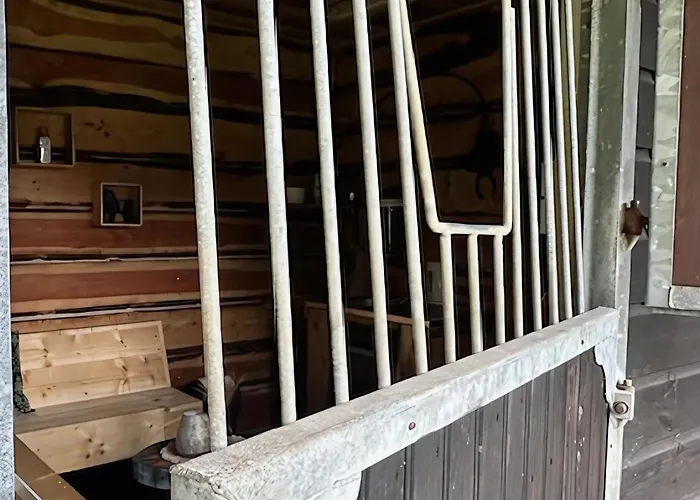 Camping Back To Basic