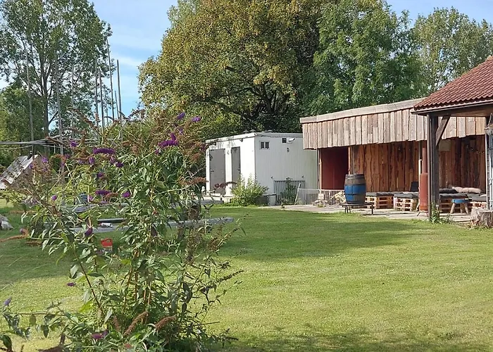 Back To Basic Camping *