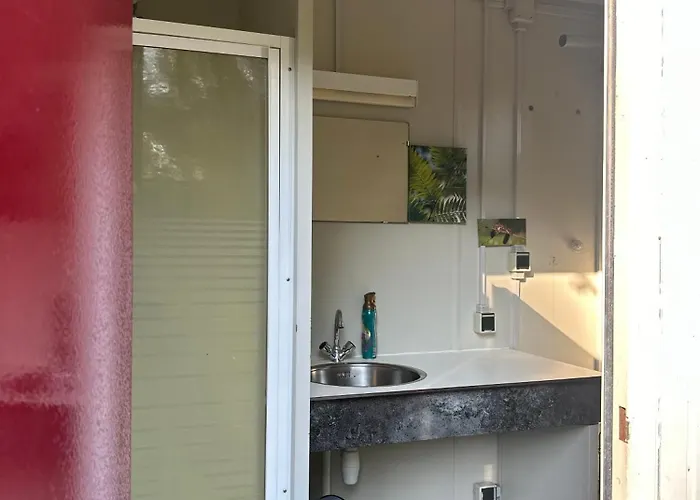 Back To Basic Camping