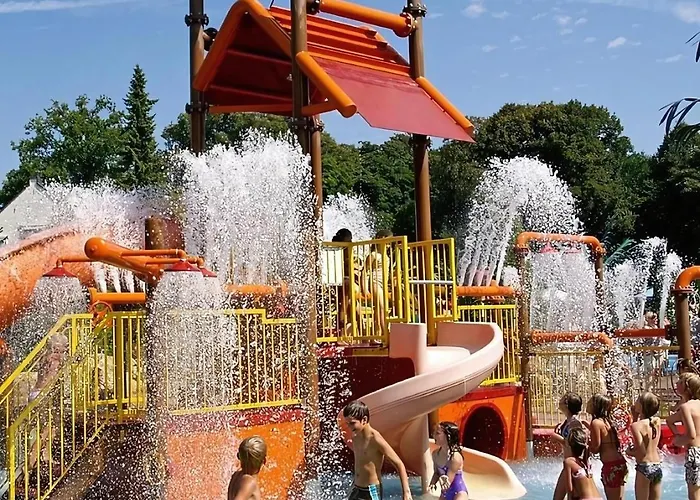 Back To Basic Camping